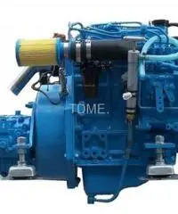 Motori marini entrobordo diesel