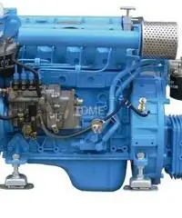 Motori marini entrobordo diesel