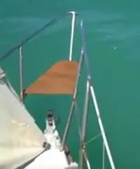 Sloop 7,5 m EM 7 con entrobordo Lombardini