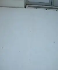 RIO 630 CC EX CARABINIERI