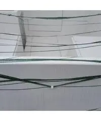 Barca cabinata pilotina da 5, mt come nuova