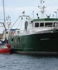 barca a vela ALPA 7,40 anno 1976 lunghezza mt 8 barca a vela ALPA 7,40 anno 1976 lunghezza mt 8