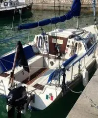 BARCA A VELA ELAN 19