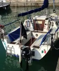 BARCA A VELA ELAN 19
