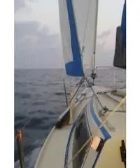 BARCA A VELA ELAN 19