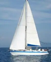 barca a vela WAUQUIEZ INTERNATIONAL Hood 38 anno 1982 lunghezza mt 11,6