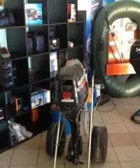 Motori Fuoribordo Suzuki