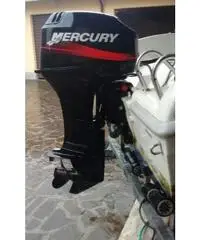 Mercury 40cv 2tempi - 2001