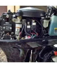 Mercury 40cv 2tempi - 2001