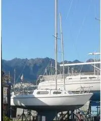 barca a vela ALPA alpa dodi 670 anno 1970 lunghezza mt 670