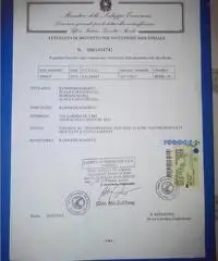 contrototante-innovazione- Nuovo Euro 100 contrototante-innovazione- Nuovo Euro 100