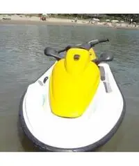 Moto d'acqua HS-MOTOR BOAT LTD Mod. HSTY700 Moto d'acqua HS-MOTOR BOAT LTD Mod. HSTY700