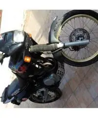 Perfetta