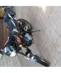 Perfetta