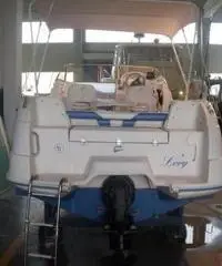 Quicksilver Flamingo 620 Quicksilver Flamingo 620