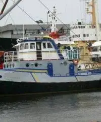 RIMORCHIATORE L2A