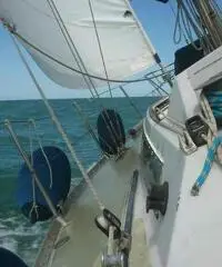 Barca a vela Fibago CX 33 Barca a vela Fibago CX 33