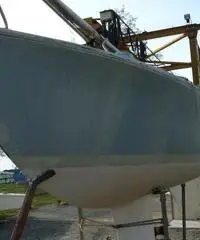 BARCA VELA