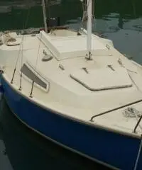 BARCA VELA