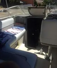 Baylainer Ciera 2665