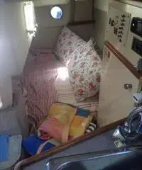 Baylainer Ciera 2665