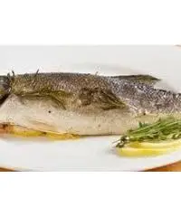 #MOTOSCAFO 19 METRI A #NOLEGGIO IN #CROAZIA DALLA NORA NAUTICA