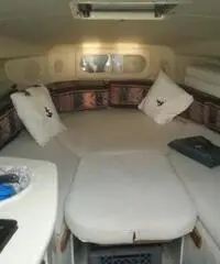 Fantastico Sea Ray 250