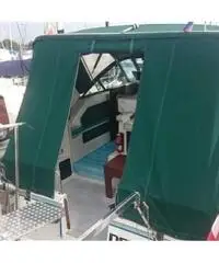 BAHA 31 EXPRESS XLE