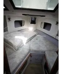 BAHA 31 EXPRESS XLE