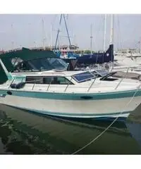 BAHA 31 EXPRESS XLE