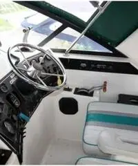 BAHA 31 EXPRESS XLE