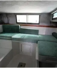 BAHA 31 EXPRESS XLE