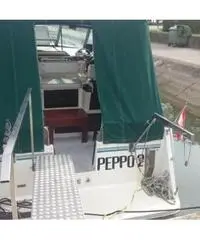 BAHA 31 EXPRESS XLE