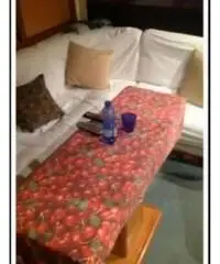 DALLA PIETà 43 Fly Asterion DALLA PIETà 43 Fly Asterion