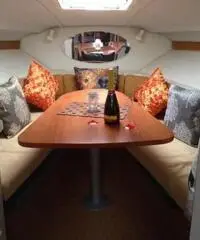 LARSON BOATS Cabrio 250