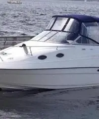 REGAL MARINE 242 Commodore REGAL MARINE 242 Commodore