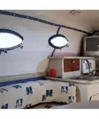 REGAL MARINE 242 Commodore REGAL MARINE 242 Commodore