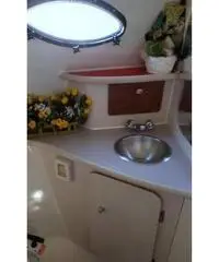 REGAL MARINE 242 Commodore REGAL MARINE 242 Commodore