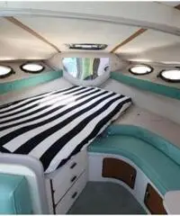 REGAL MARINE 290 COMMODORE