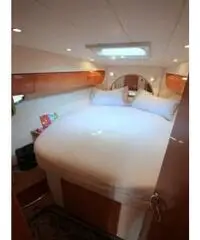 WINDY BOATS 43 Typhoon