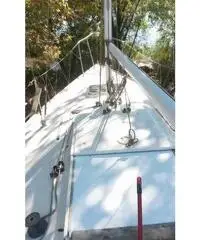 Barca a vela J24