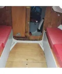 Stag 29