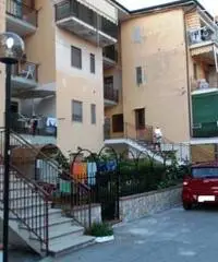 Appartamento a Santa Maria del Cedro in provincia di Cosenza