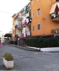 Appartamento a Santa Maria del Cedro in provincia di Cosenza