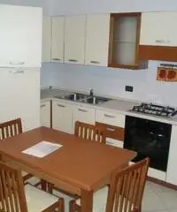 Appartamento in Affitto 55mq Appartamento in Affitto 55mq