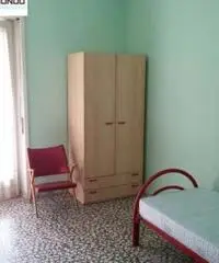 Appartamento a Campobasso Appartamento a Campobasso
