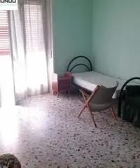 Appartamento a Campobasso Appartamento a Campobasso