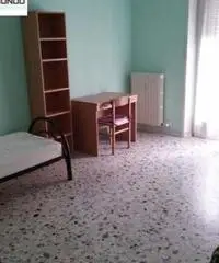 Appartamento a Campobasso Appartamento a Campobasso