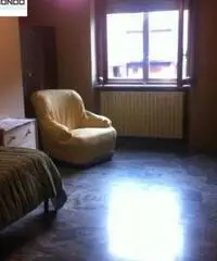 Affitto Appartamento a Campobasso Affitto Appartamento a Campobasso