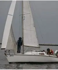 Regalo barca a vela invecchiata bene a chi compra gli accessori Regalo barca a vela invecchiata bene a chi compra gli accessori